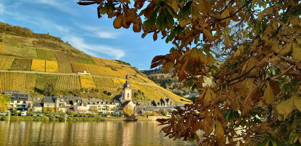 Mosel-Appartements Nehren Цел ан дер Мозел Екстериор снимка